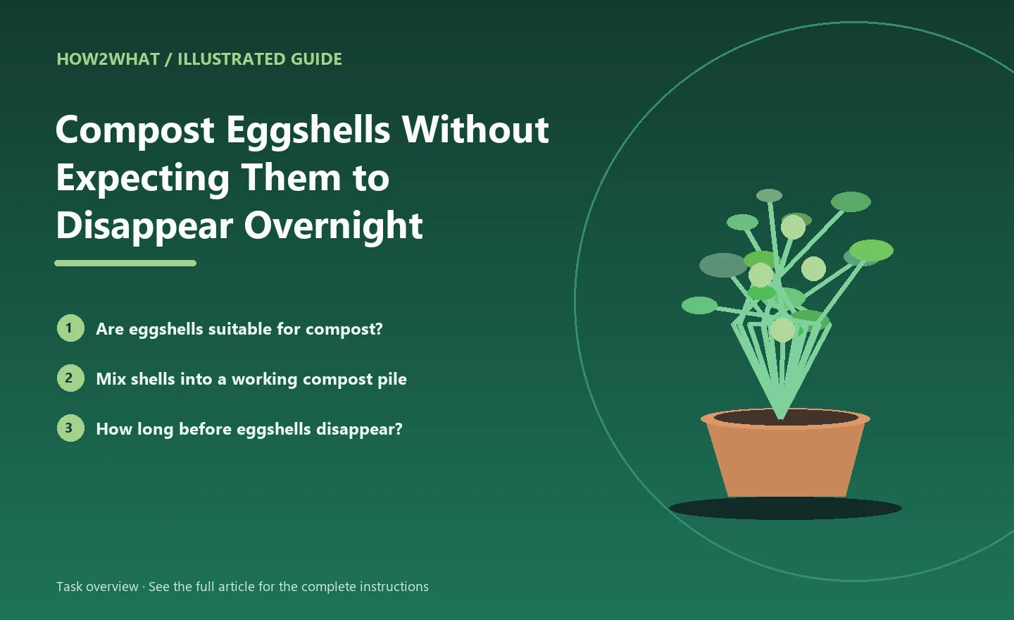 Illustrated task overview for How to Compost Eggshells Without Expecting Them to Disappear Overnight