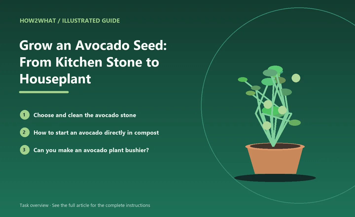Illustrated task overview for How to Grow an Avocado Seed: From Kitchen Stone to Houseplant