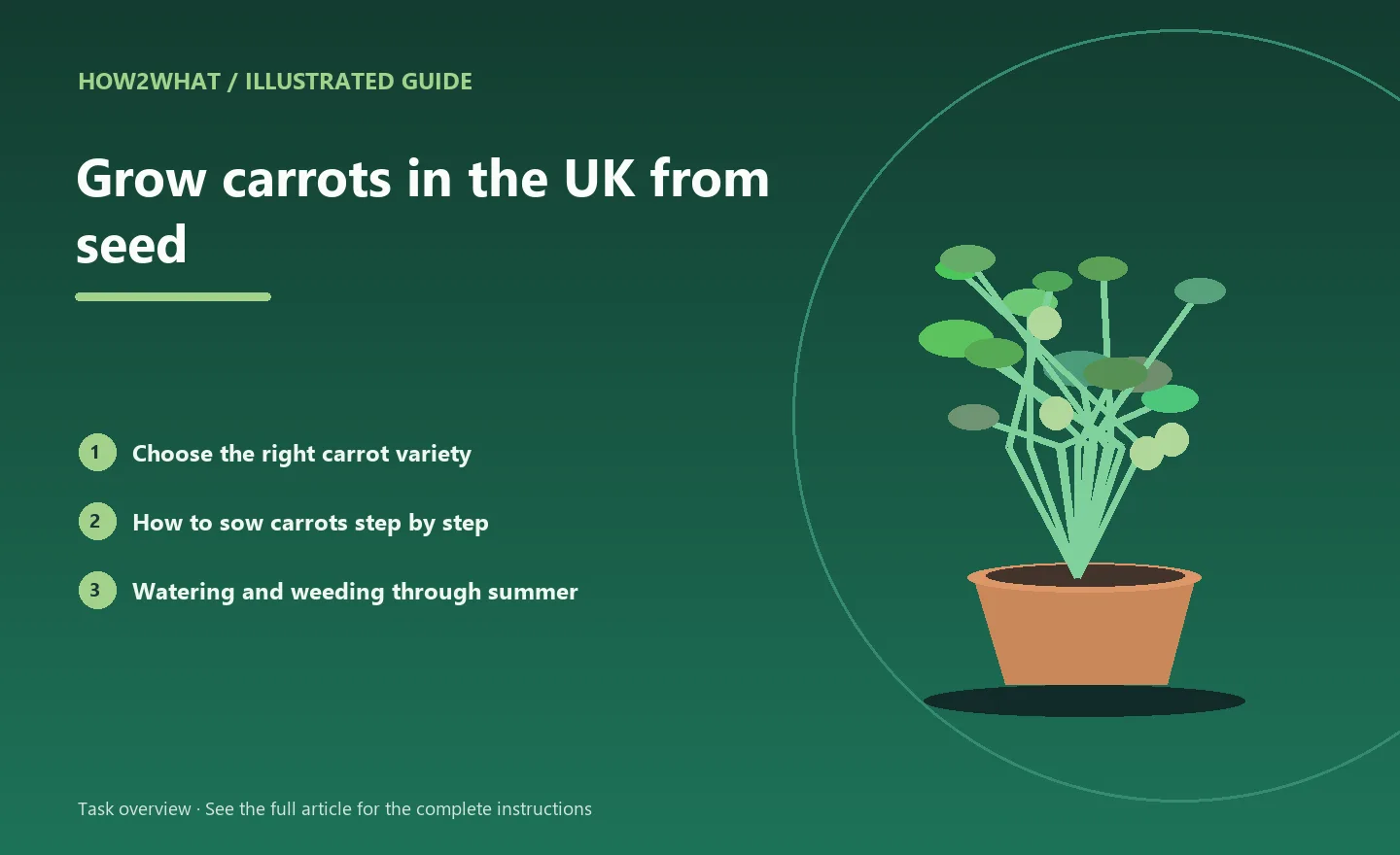 Illustrated task overview for How to grow carrots in the UK from seed