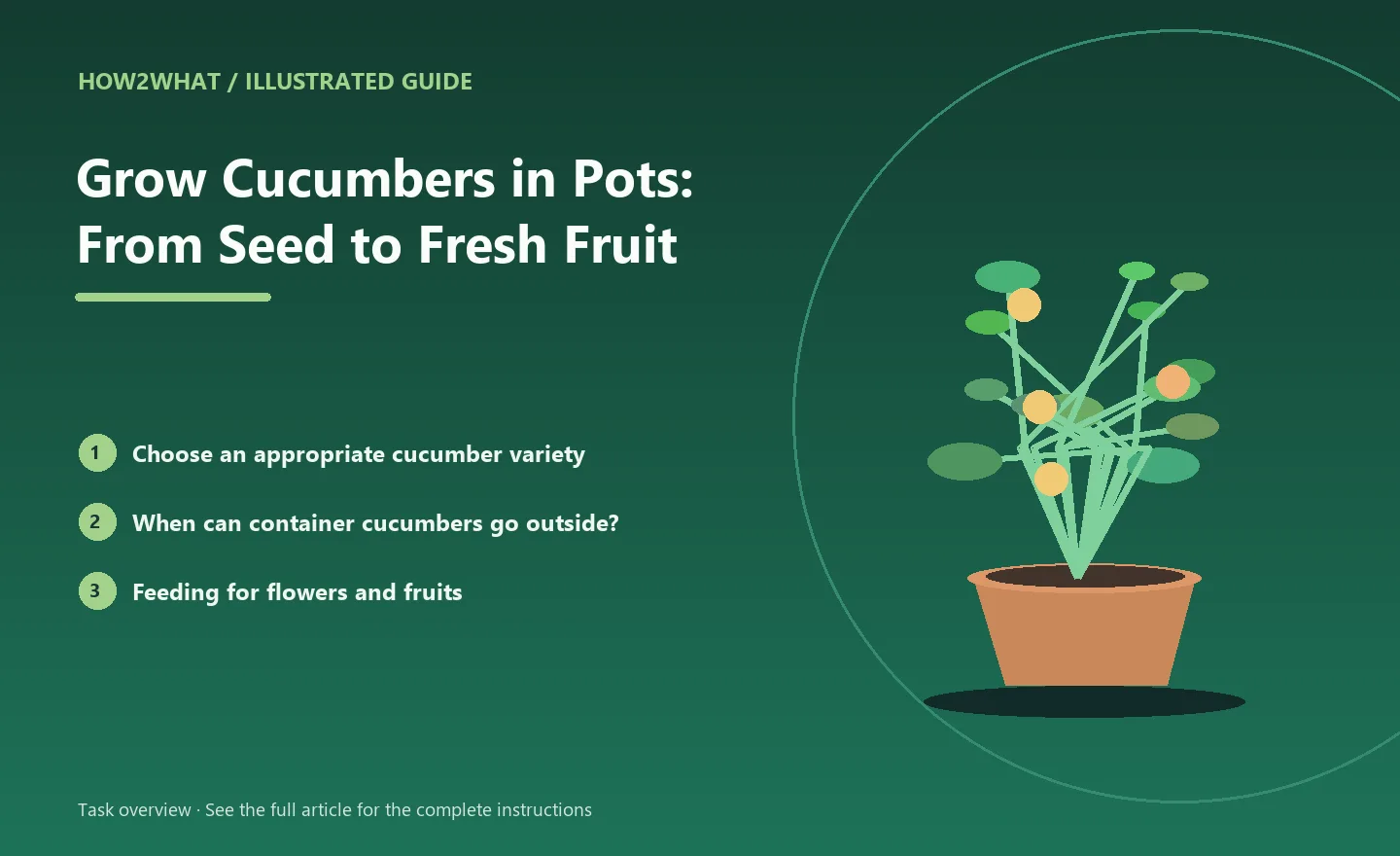 Illustrated task overview for How to Grow Cucumbers in Pots: From Seed to Fresh Fruit