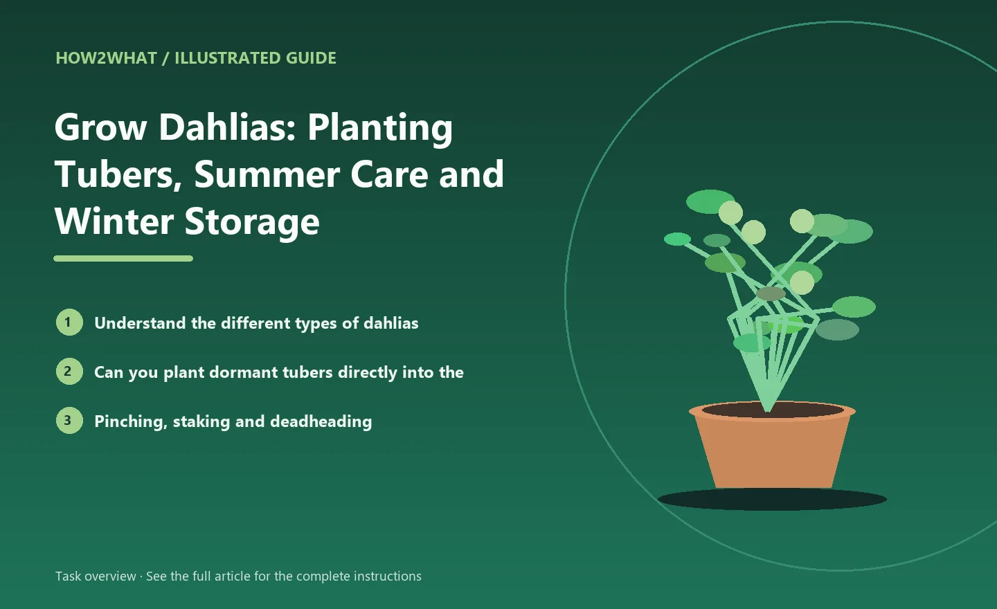 Illustrated task overview for How to Grow Dahlias: Planting Tubers, Summer Care and Winter Storage