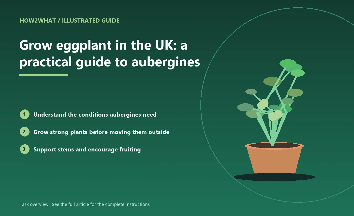 Illustrated task overview for How to grow eggplant in the UK: a practical guide to aubergines