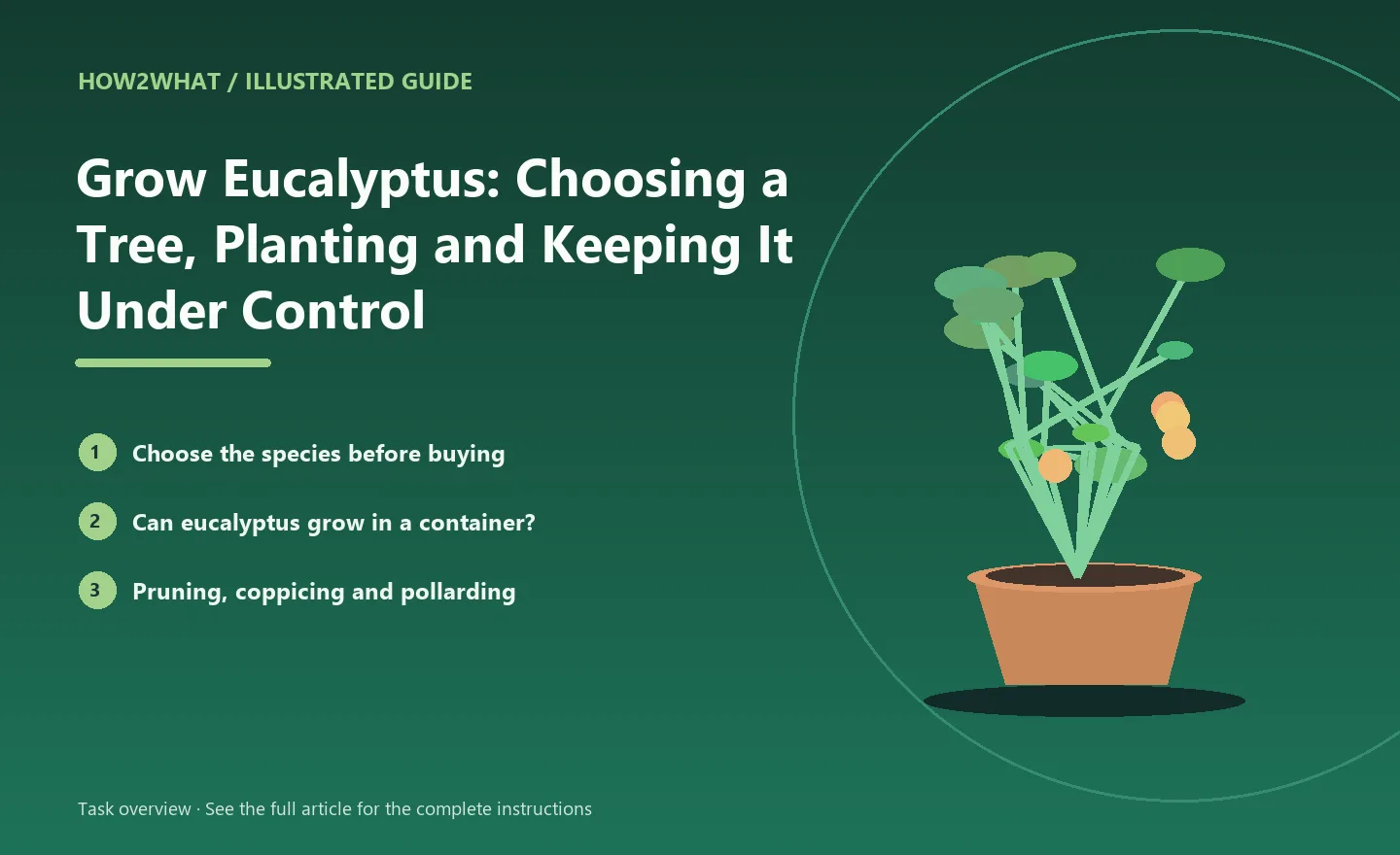 Illustrated task overview for How to Grow Eucalyptus: Choosing a Tree, Planting and Keeping It Under Control