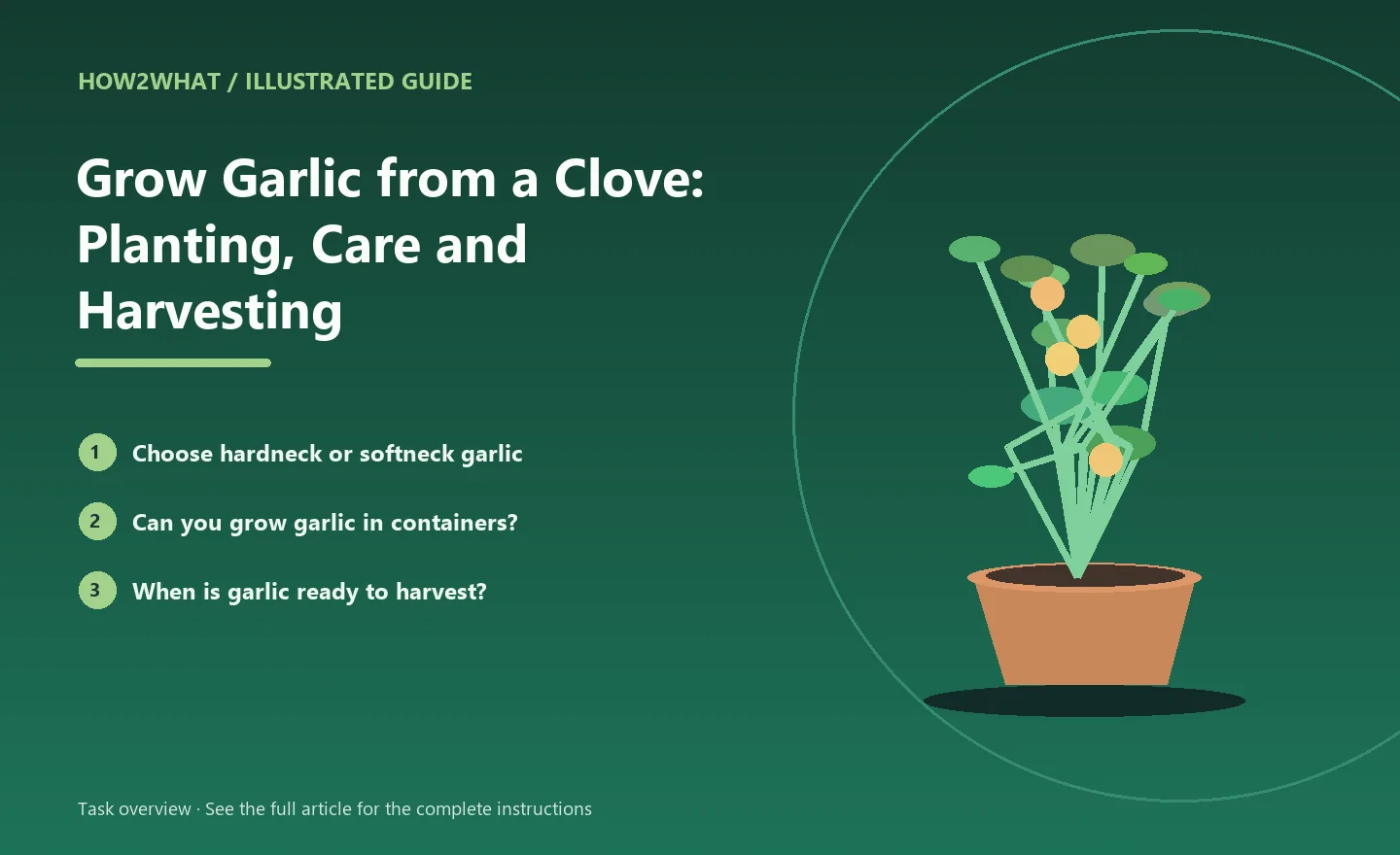 Illustrated task overview for How to Grow Garlic from a Clove: Planting, Care and Harvesting