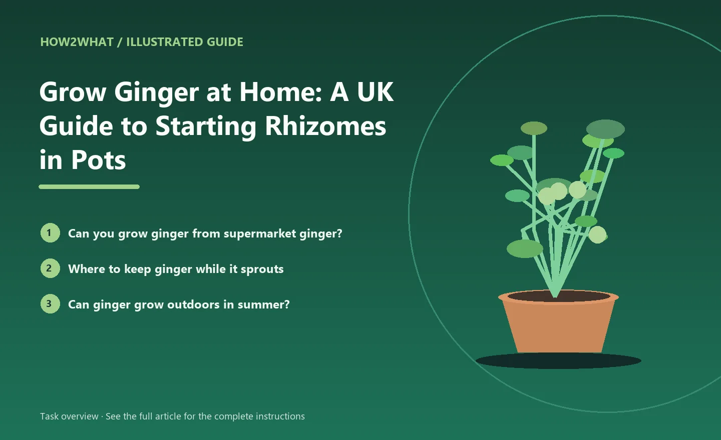 Illustrated task overview for How to Grow Ginger at Home: A UK Guide to Starting Rhizomes in Pots