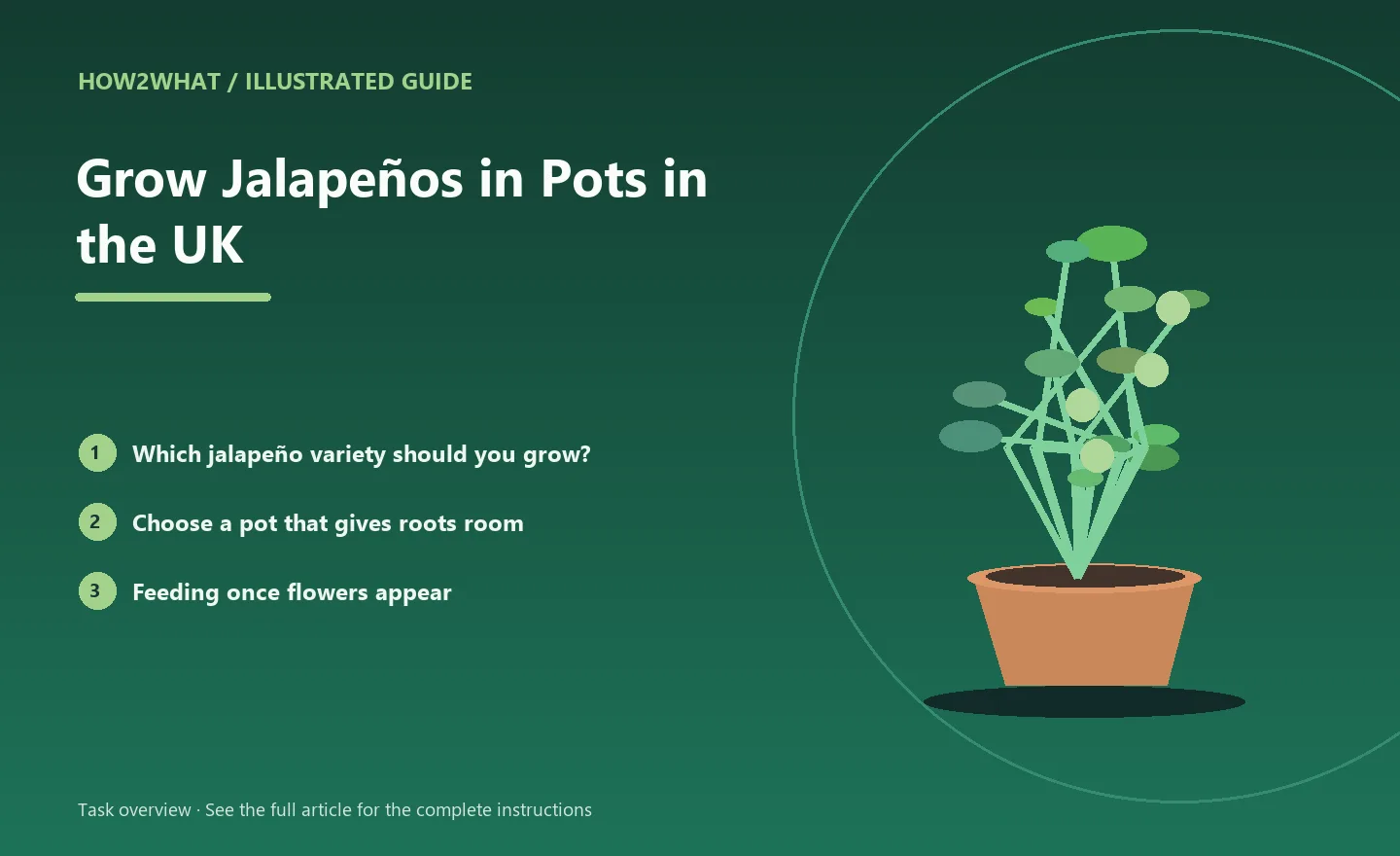 Illustrated task overview for How to Grow Jalapeños in Pots in the UK