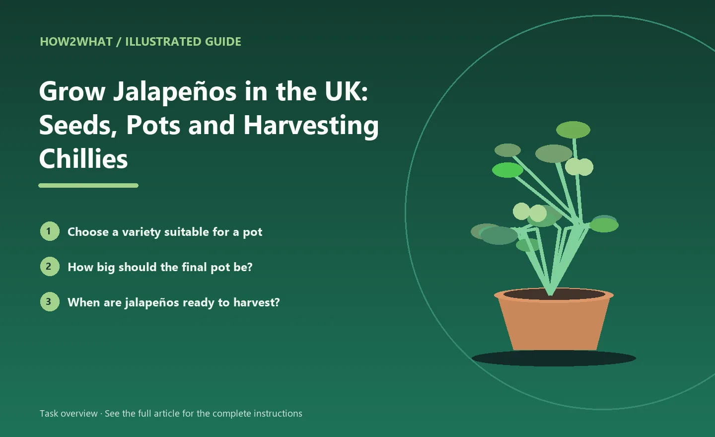 Illustrated task overview for How to Grow Jalapeños in the UK: Seeds, Pots and Harvesting Chillies