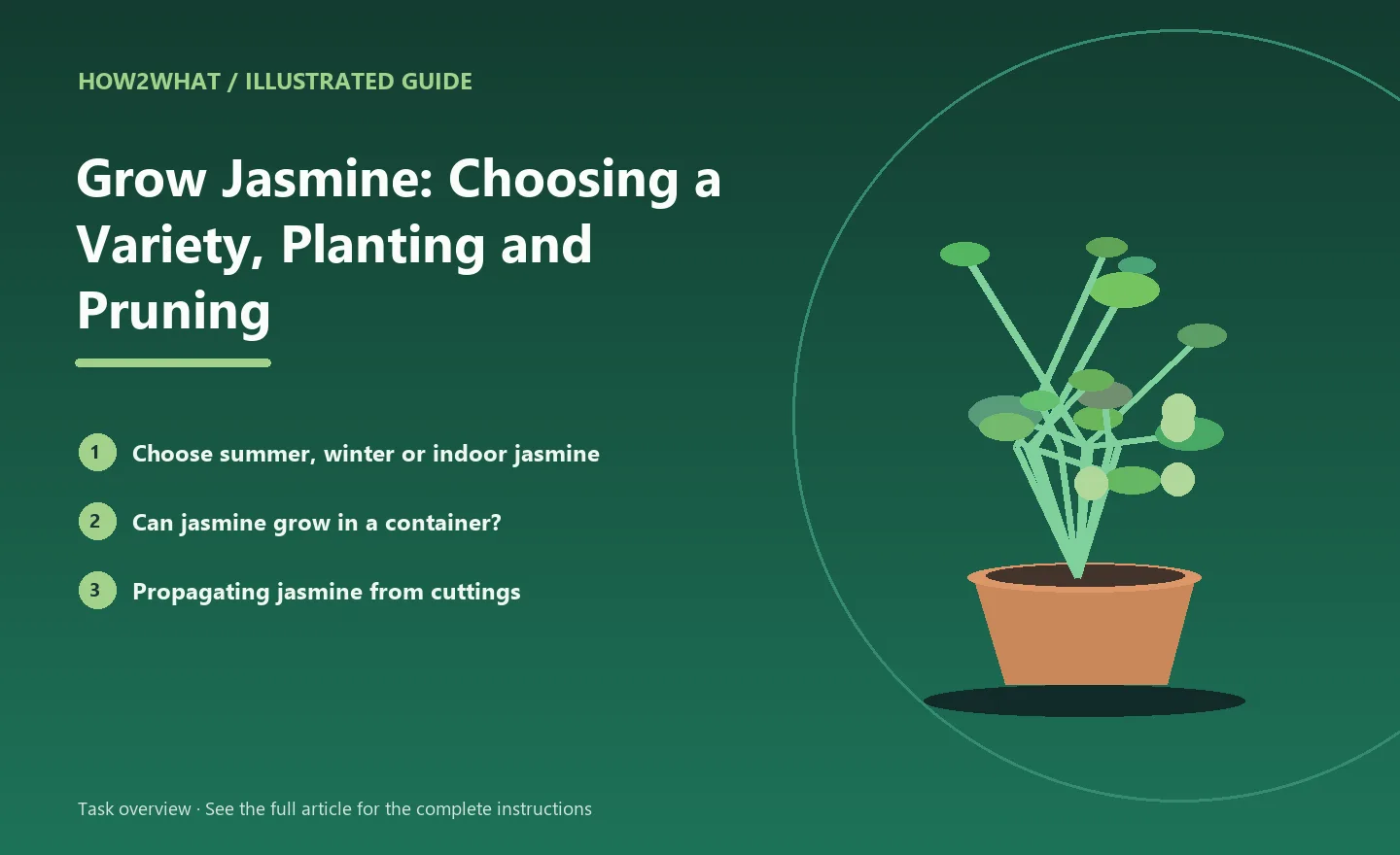 Illustrated task overview for How to Grow Jasmine: Choosing a Variety, Planting and Pruning