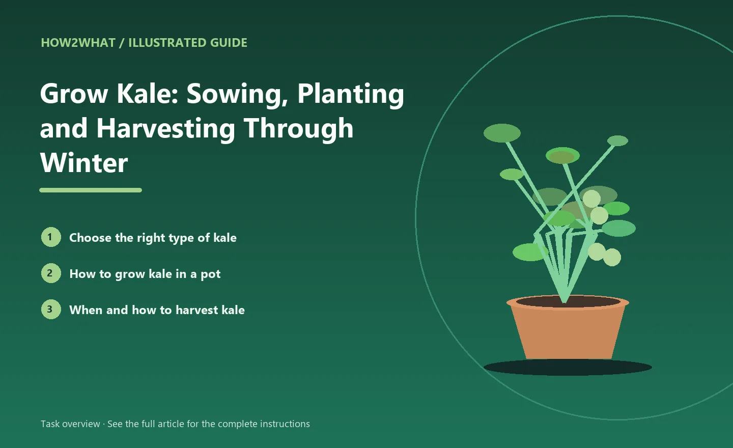 Illustrated task overview for How to Grow Kale: Sowing, Planting and Harvesting Through Winter