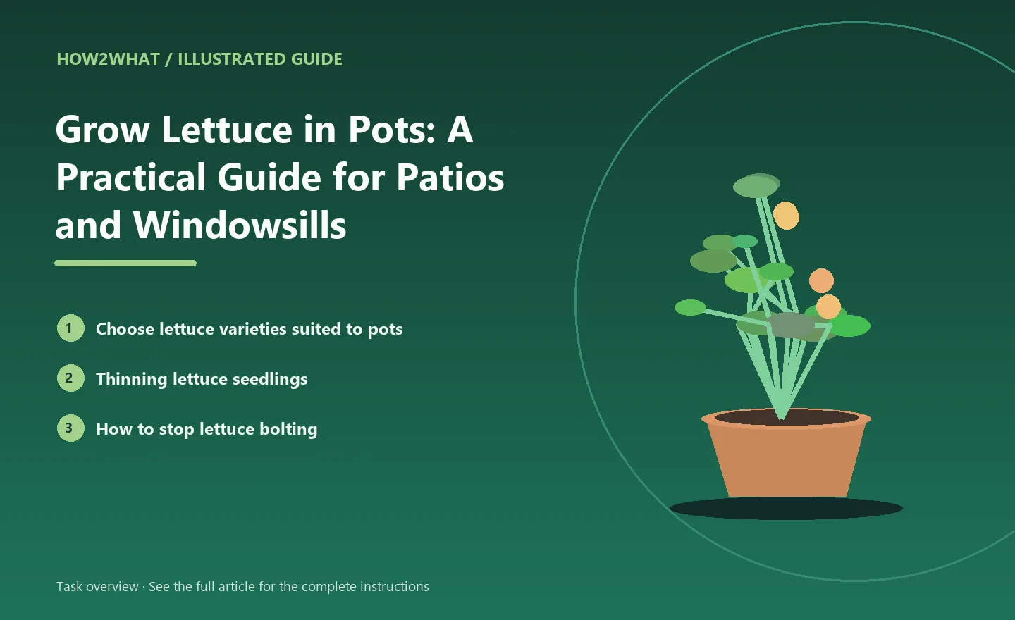 Illustrated task overview for How to Grow Lettuce in Pots: A Practical Guide for Patios and Windowsills