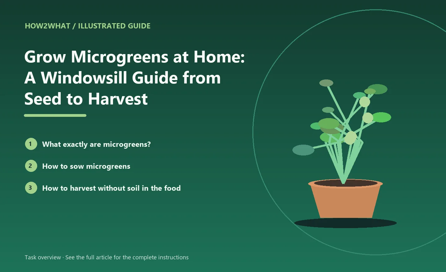 Illustrated task overview for How to Grow Microgreens at Home: A Windowsill Guide from Seed to Harvest