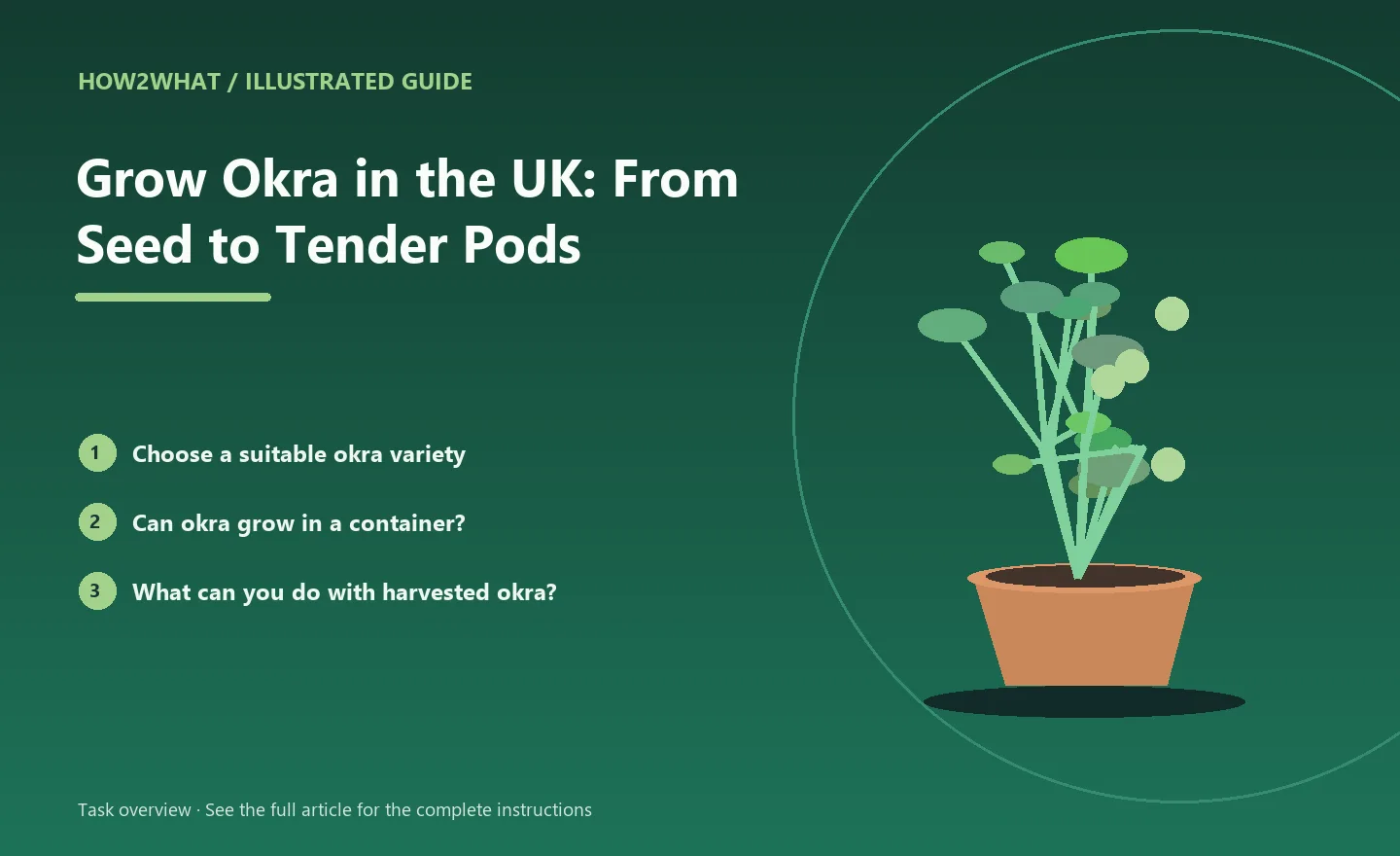 Illustrated task overview for How to Grow Okra in the UK: From Seed to Tender Pods