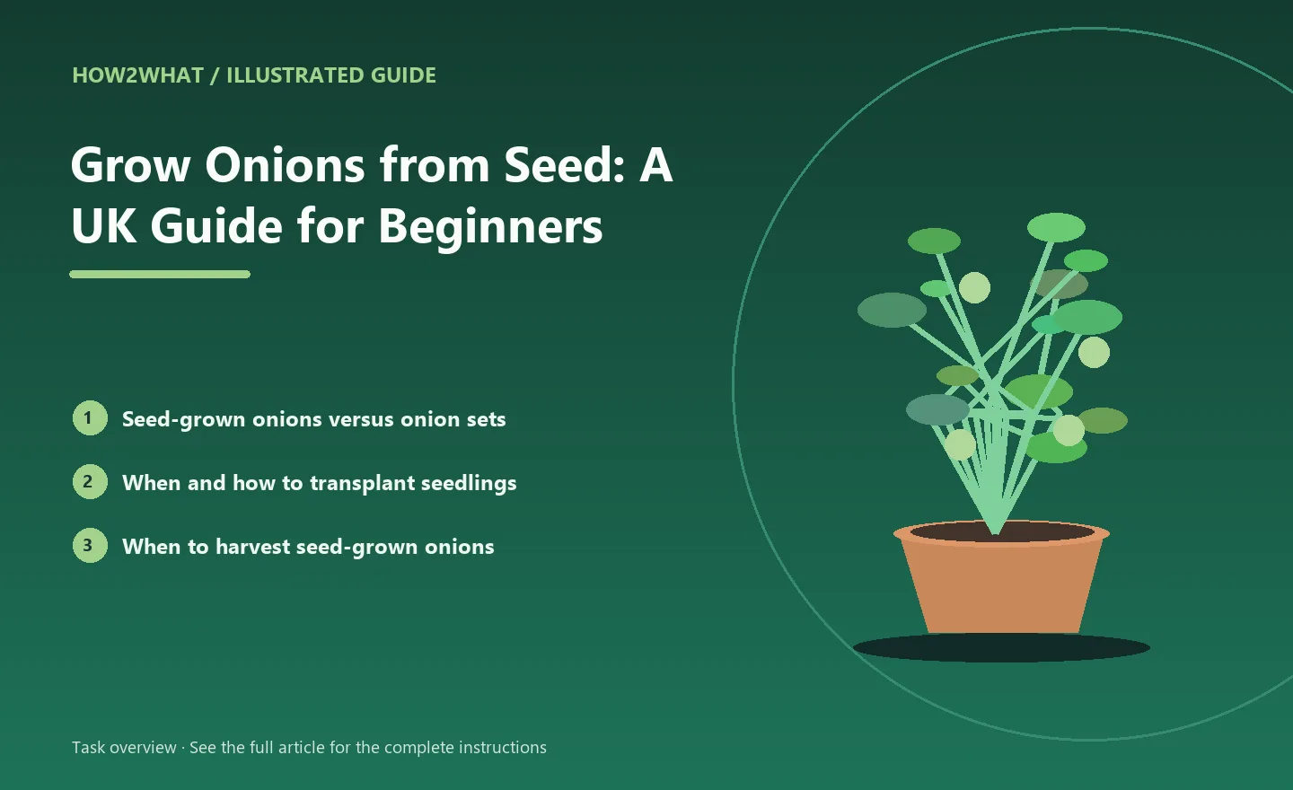 Illustrated task overview for How to Grow Onions from Seed: A UK Guide for Beginners