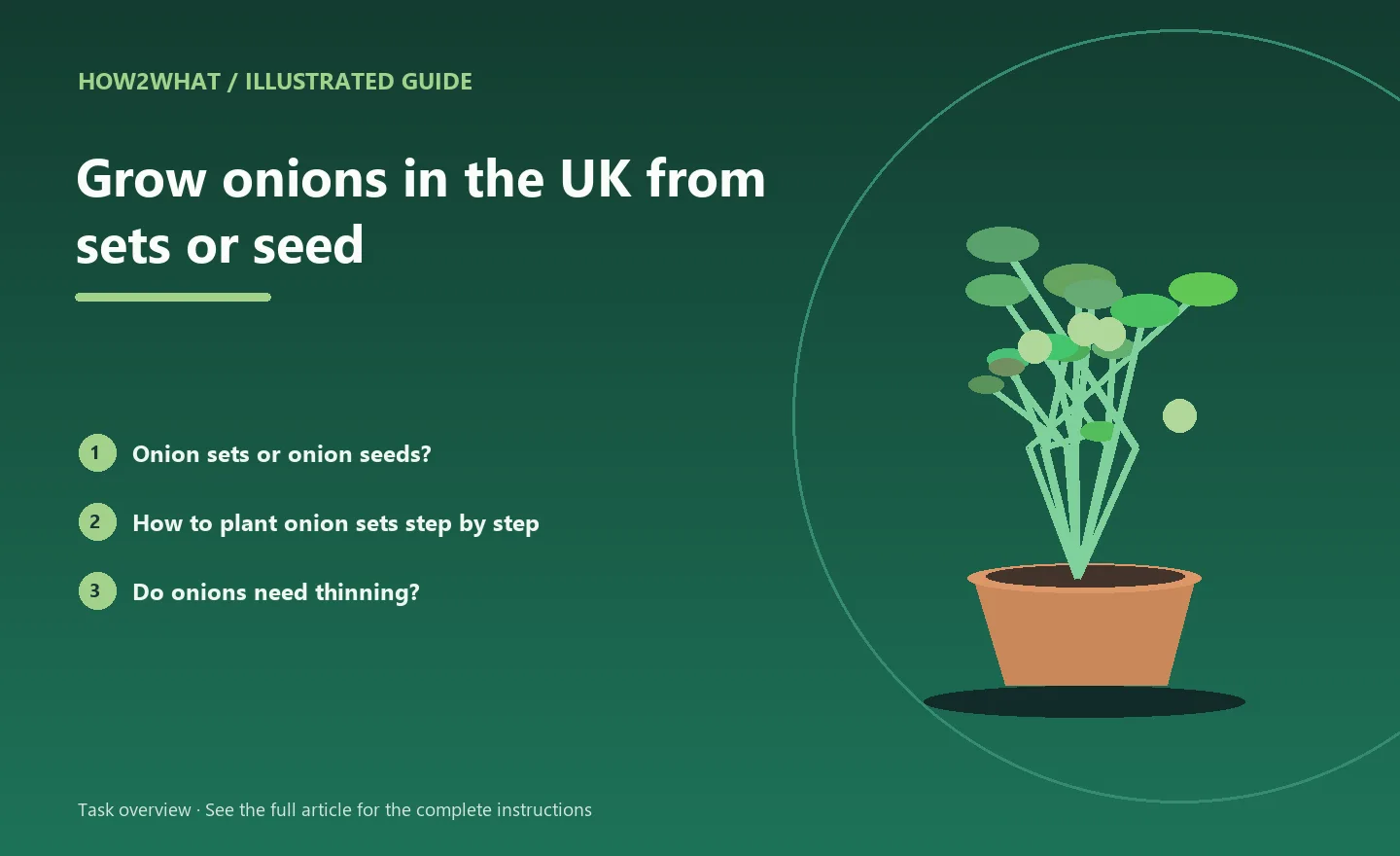 Illustrated task overview for How to grow onions in the UK from sets or seed