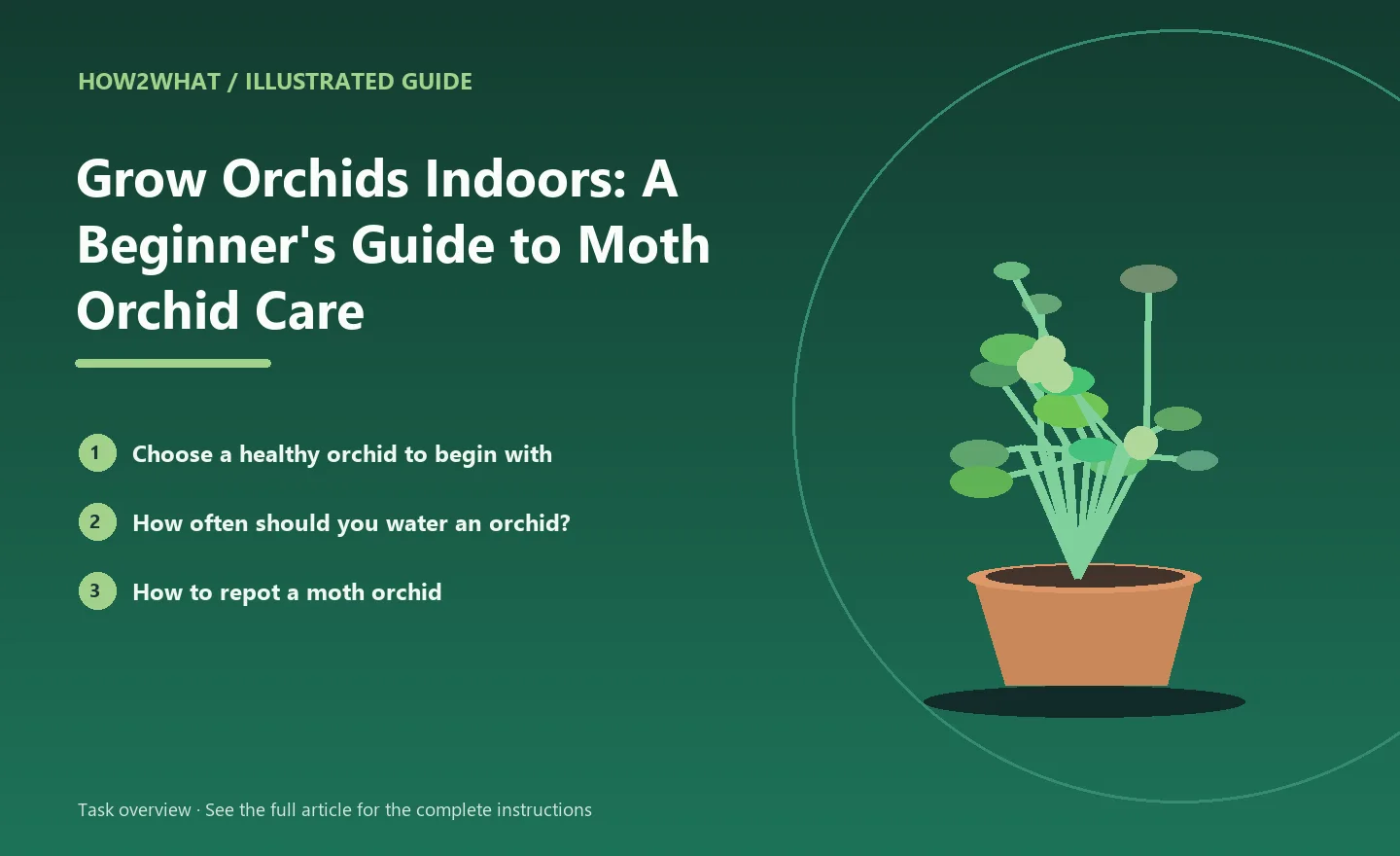 Illustrated task overview for How to Grow Orchids Indoors: A Beginner's Guide to Moth Orchid Care