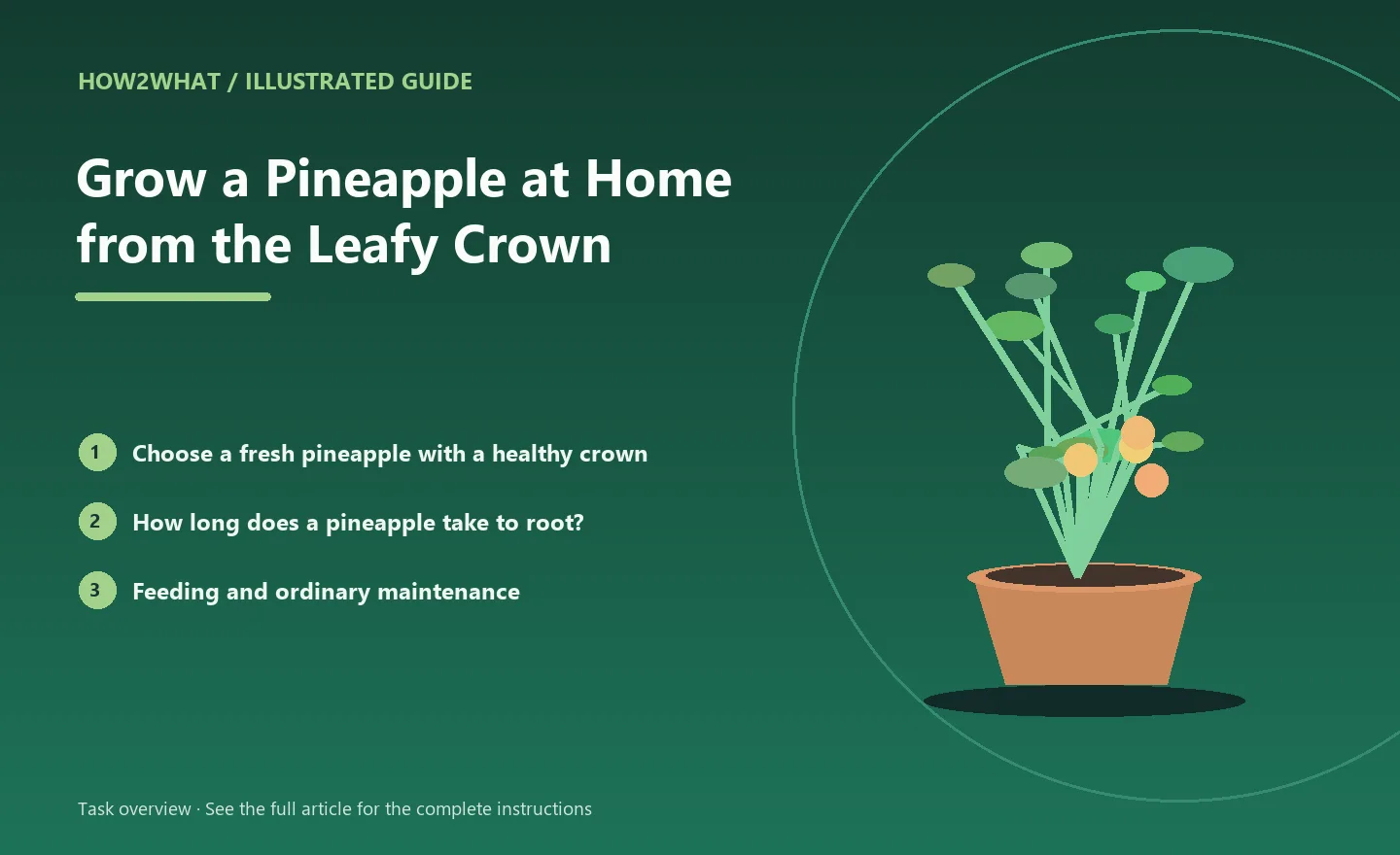 Illustrated task overview for How to Grow a Pineapple at Home from the Leafy Crown