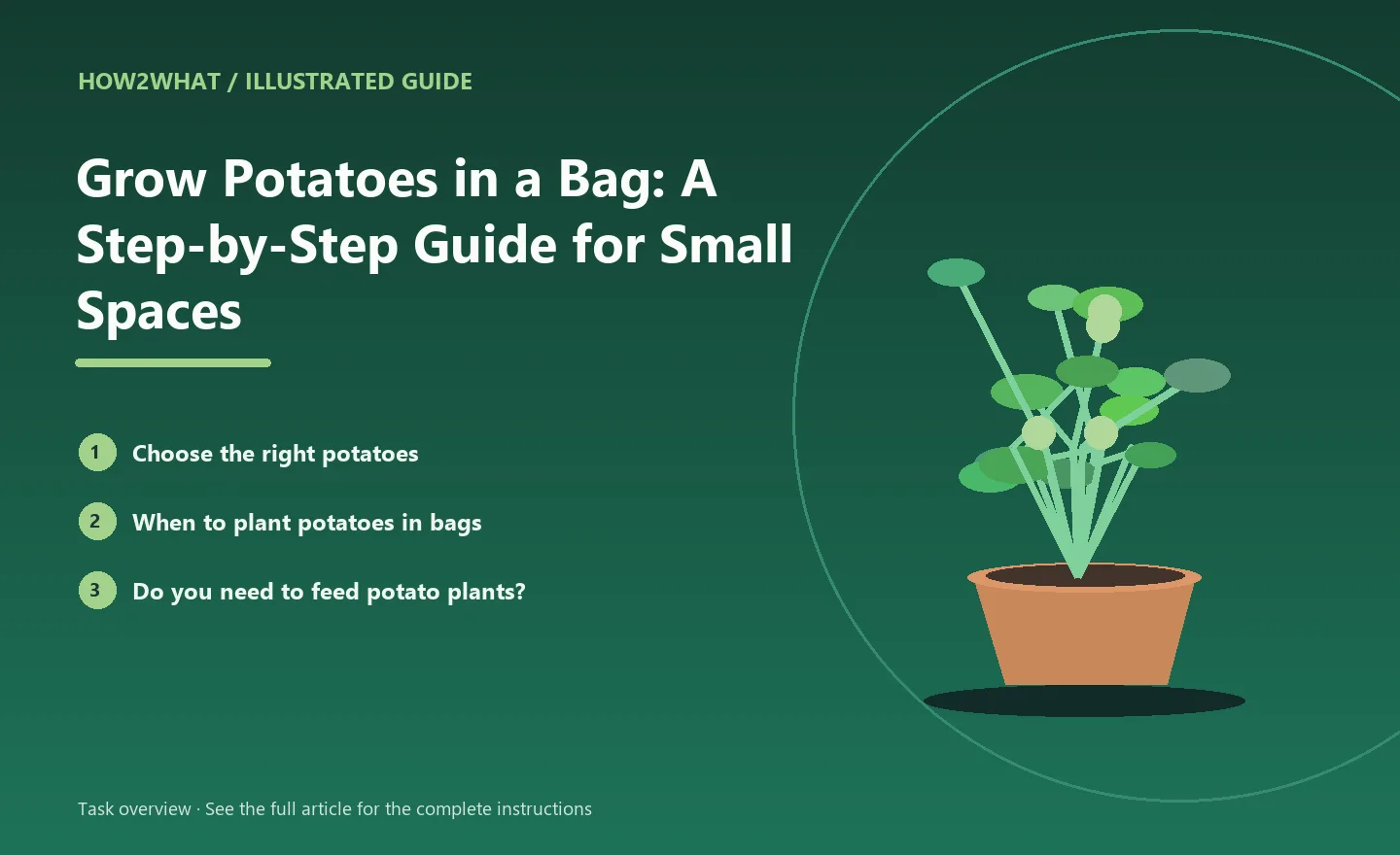 Illustrated task overview for How to Grow Potatoes in a Bag: A Step-by-Step Guide for Small Spaces