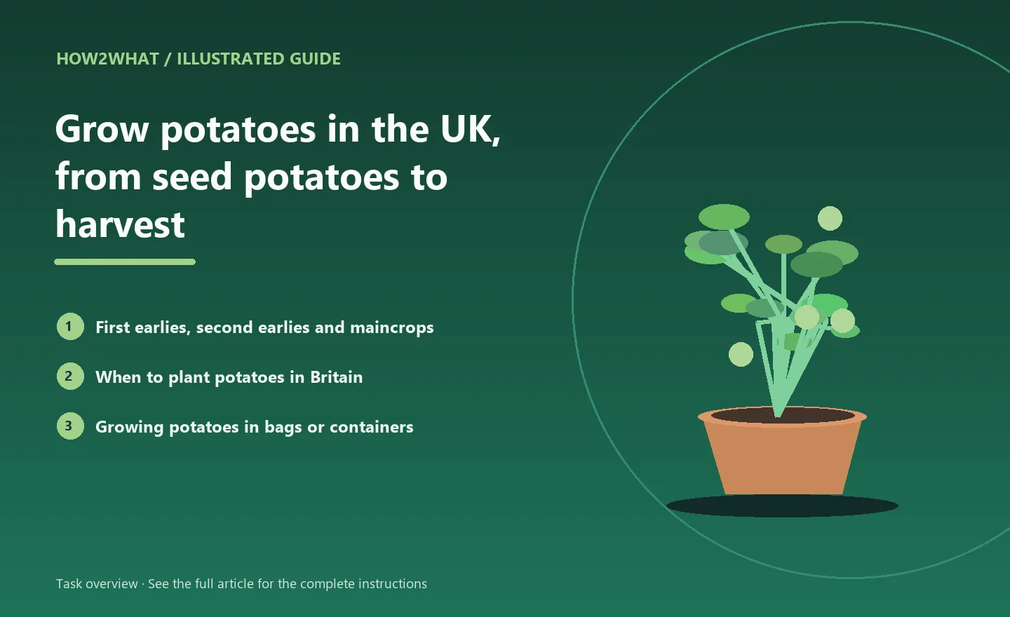 Illustrated task overview for How to grow potatoes in the UK, from seed potatoes to harvest
