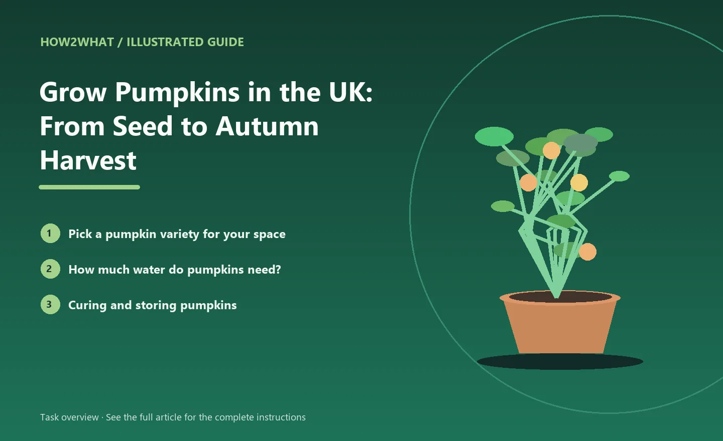 Illustrated task overview for How to Grow Pumpkins in the UK: From Seed to Autumn Harvest