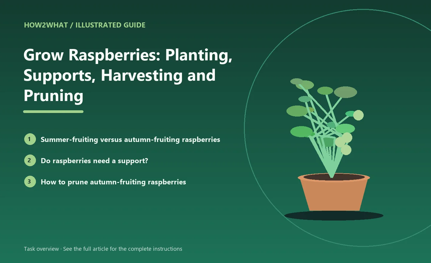 Illustrated task overview for How to Grow Raspberries: Planting, Supports, Harvesting and Pruning