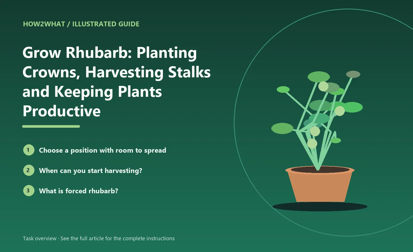 Illustrated task overview for How to Grow Rhubarb: Planting Crowns, Harvesting Stalks and Keeping Plants Productive