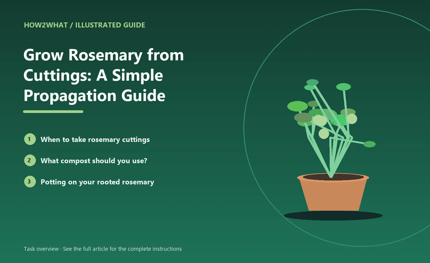 Illustrated task overview for How to Grow Rosemary from Cuttings: A Simple Propagation Guide