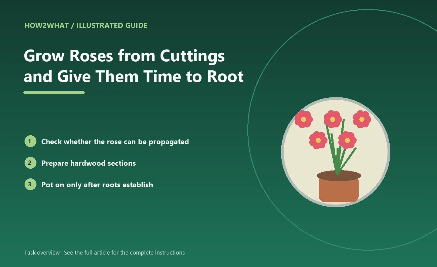 Illustrated task overview for How to Grow Roses from Cuttings and Give Them Time to Root