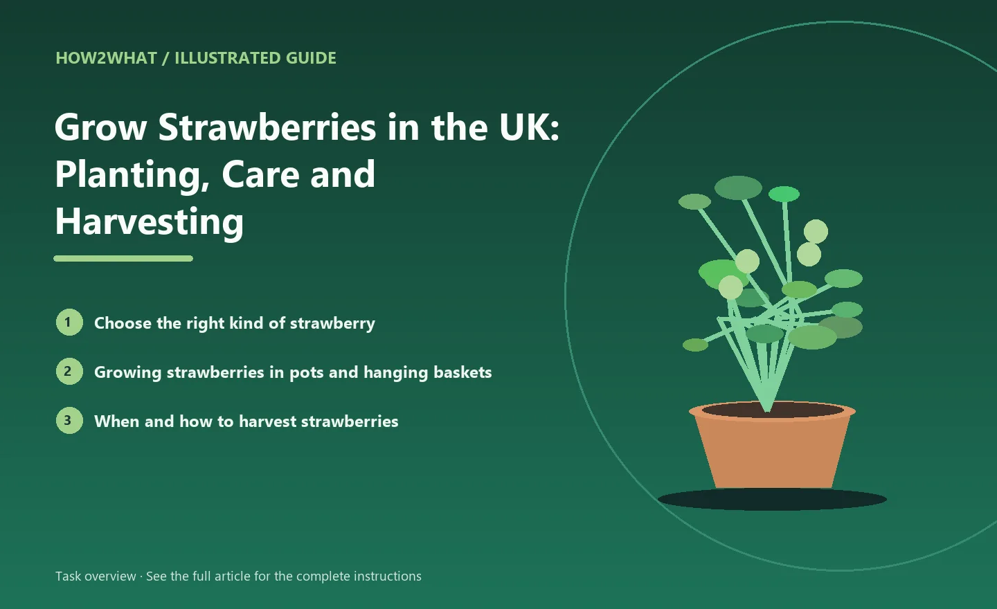 Illustrated task overview for How to Grow Strawberries in the UK: Planting, Care and Harvesting