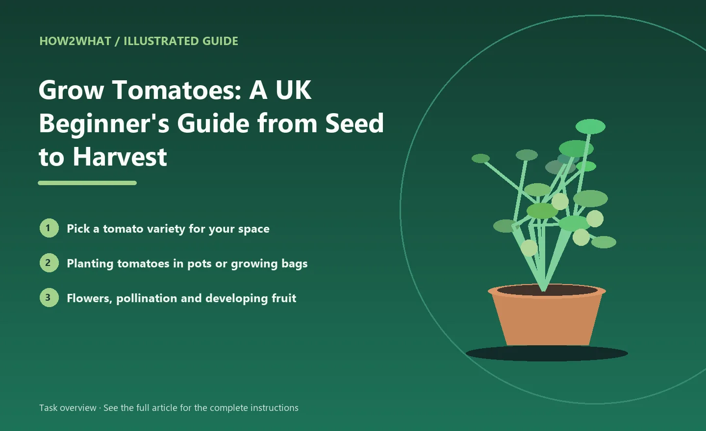 Illustrated task overview for How to Grow Tomatoes: A UK Beginner's Guide from Seed to Harvest