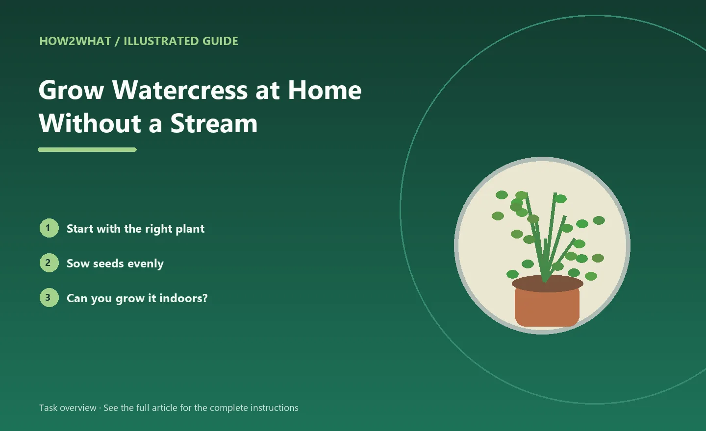 Illustrated task overview for How to Grow Watercress at Home Without a Stream