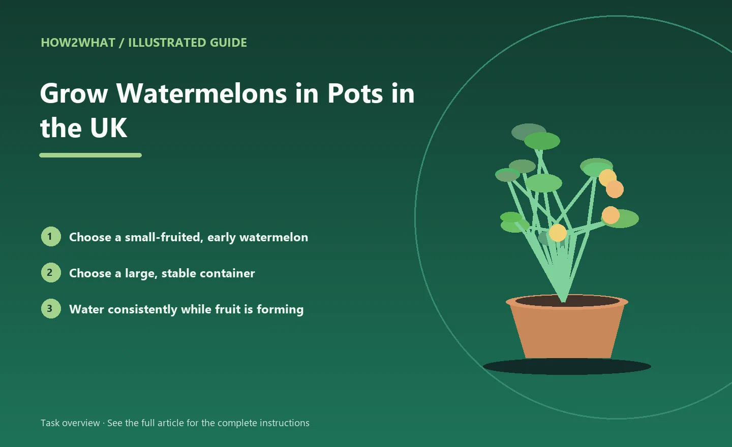 Illustrated task overview for How to Grow Watermelons in Pots in the UK