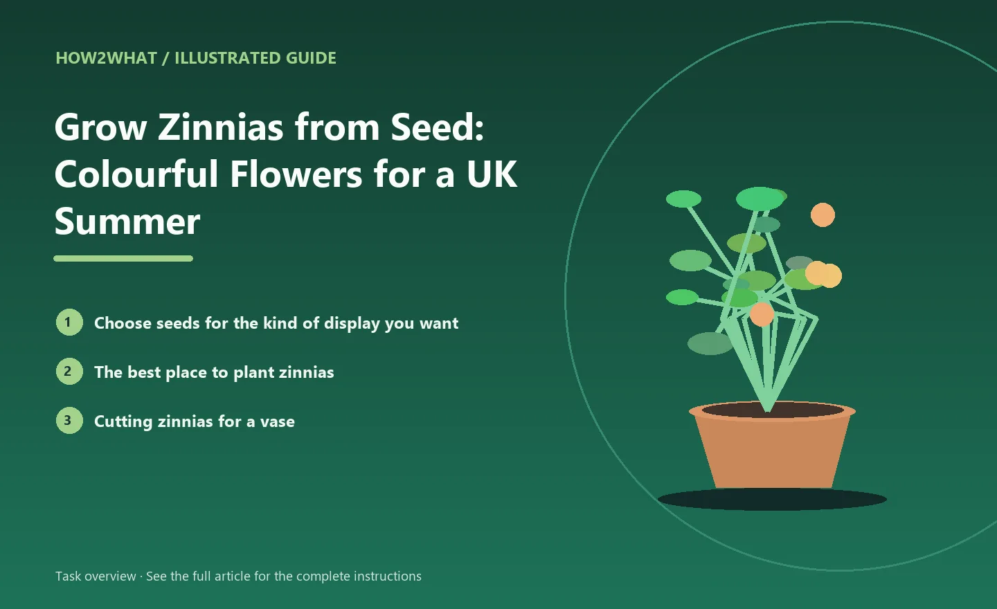 Illustrated task overview for How to Grow Zinnias from Seed: Colourful Flowers for a UK Summer