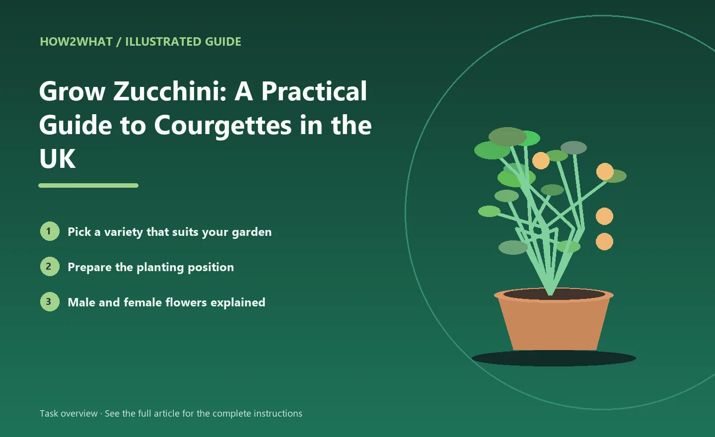 Illustrated task overview for How to Grow Zucchini: A Practical Guide to Courgettes in the UK