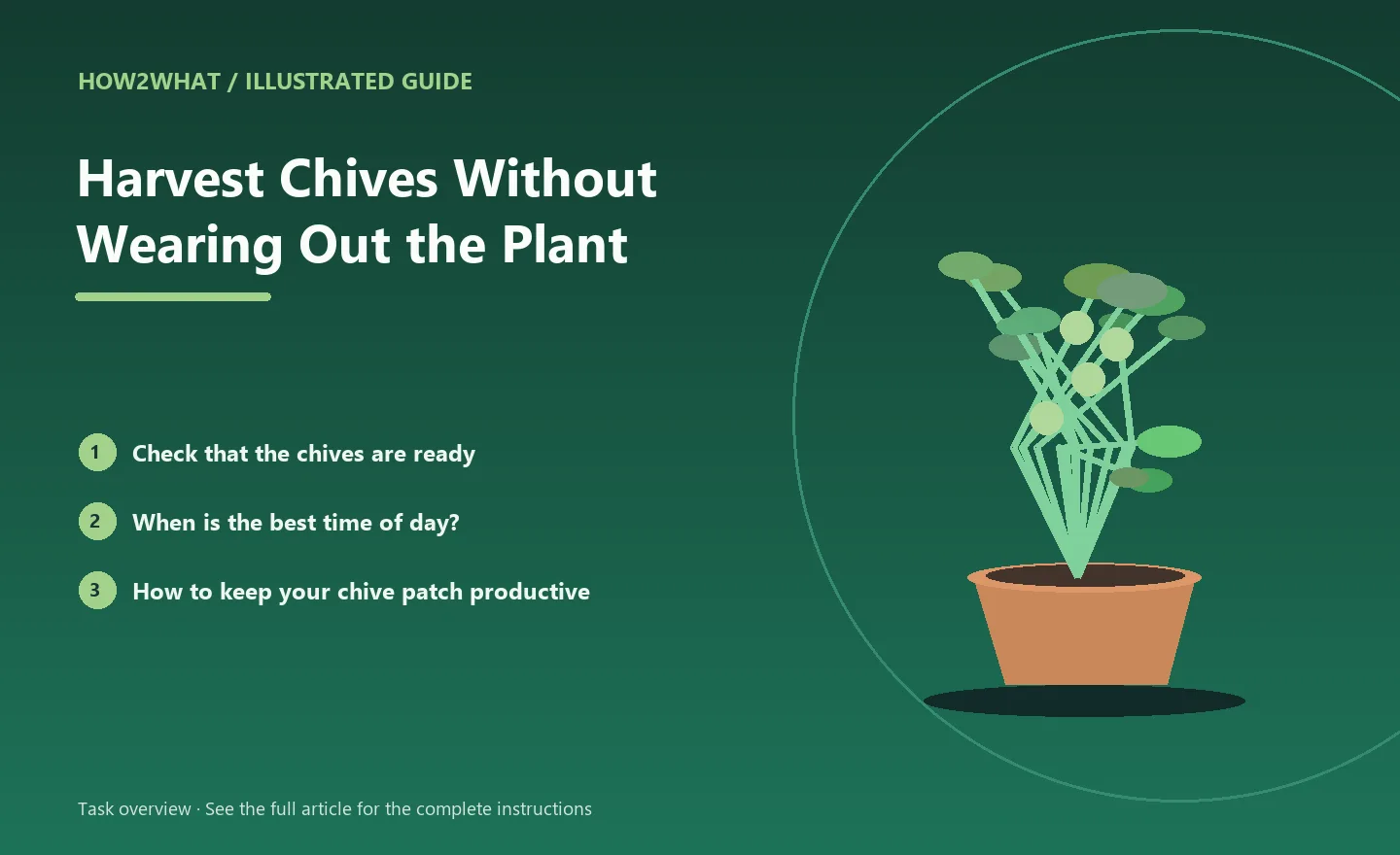 Illustrated task overview for How to Harvest Chives Without Wearing Out the Plant