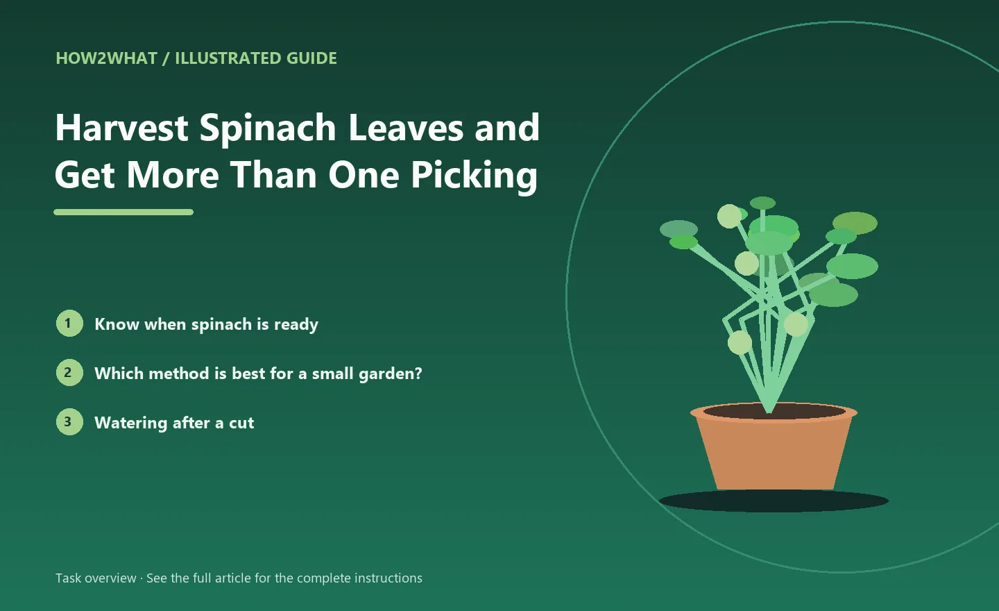 Illustrated task overview for How to Harvest Spinach Leaves and Get More Than One Picking
