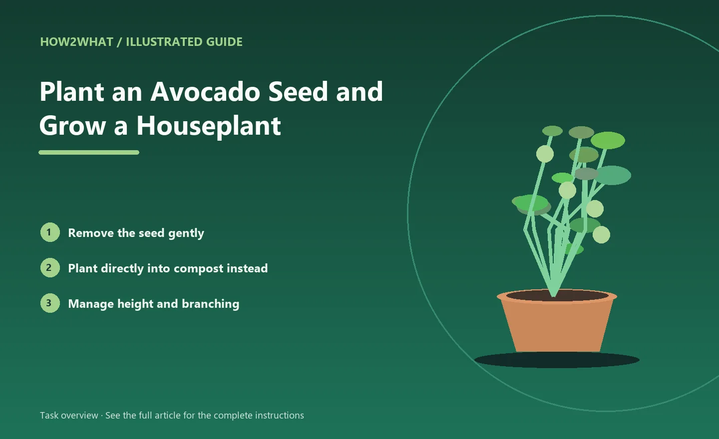 Illustrated task overview for How to Plant an Avocado Seed and Grow a Houseplant