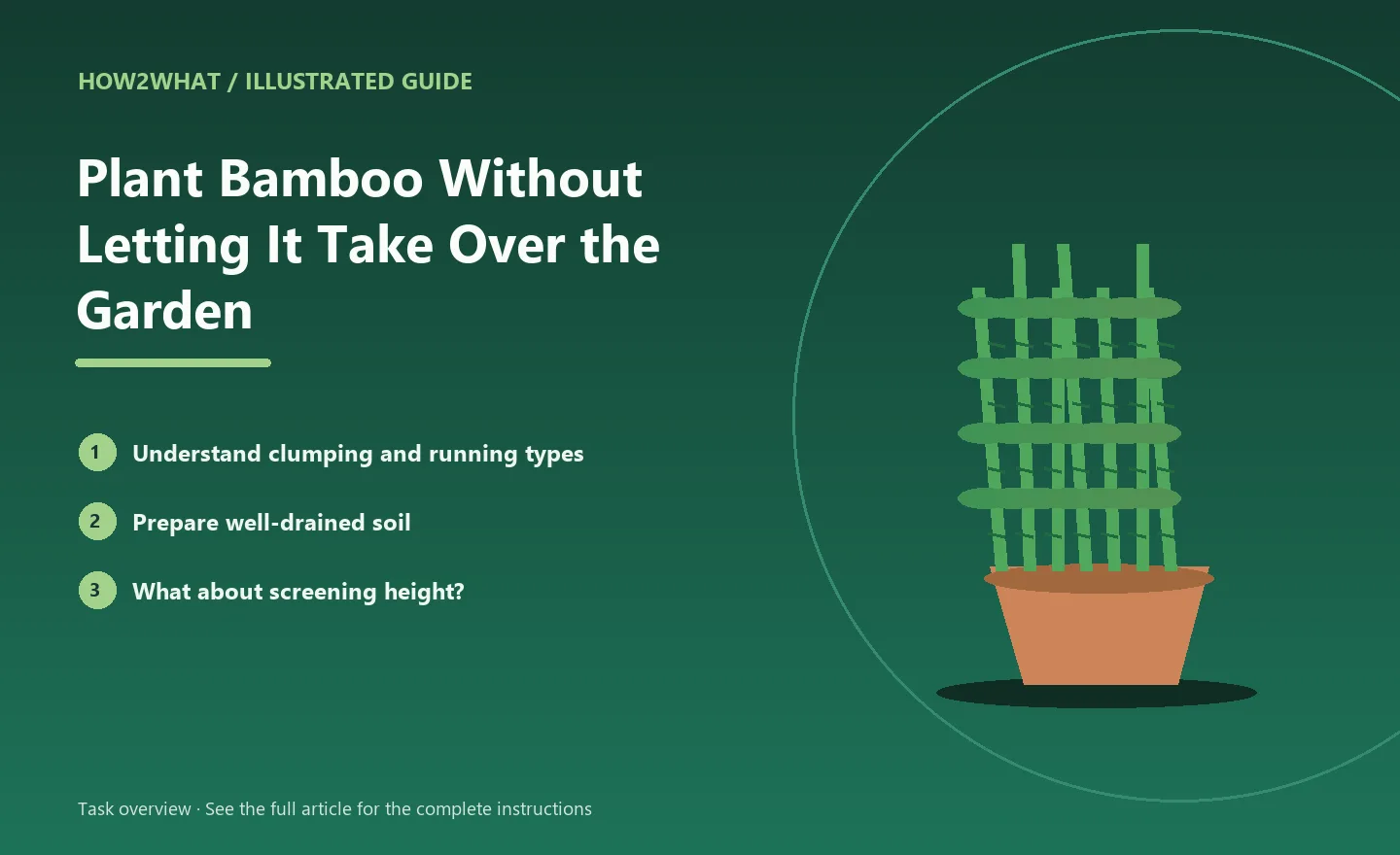 Illustrated task overview for How to Plant Bamboo Without Letting It Take Over the Garden