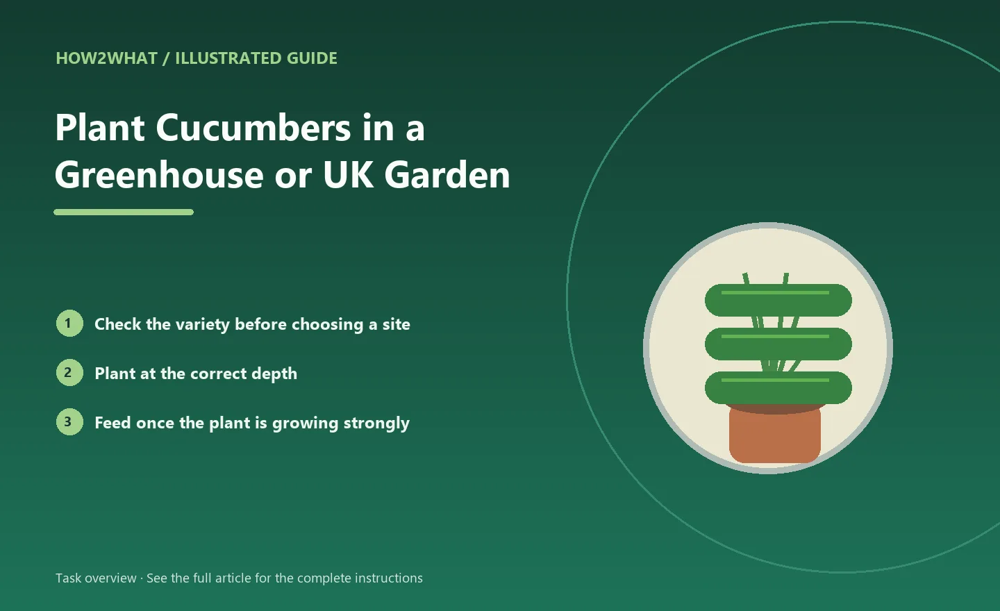 Illustrated task overview for How to Plant Cucumbers in a Greenhouse or UK Garden