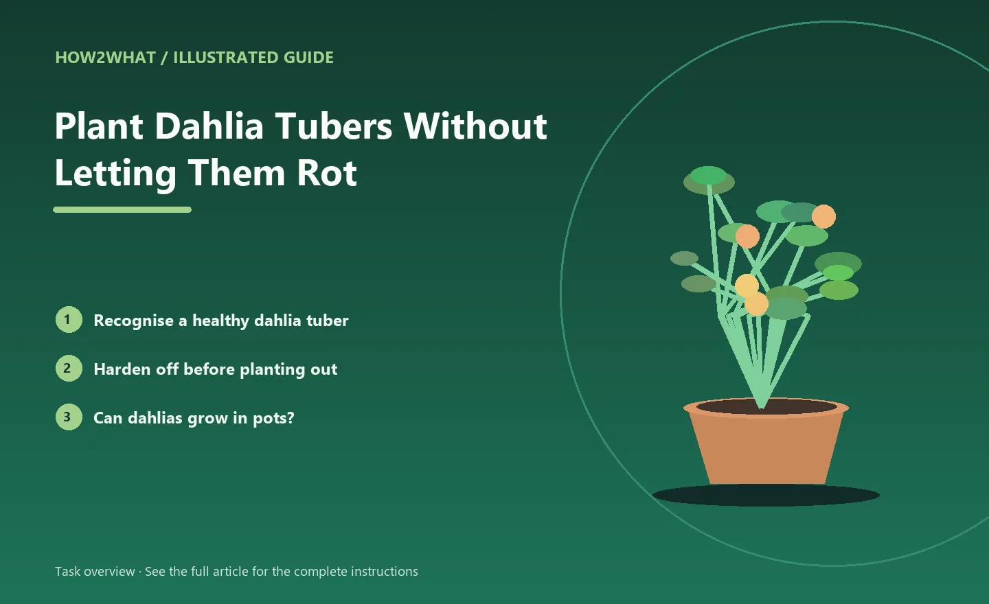 Illustrated task overview for How to Plant Dahlia Tubers Without Letting Them Rot