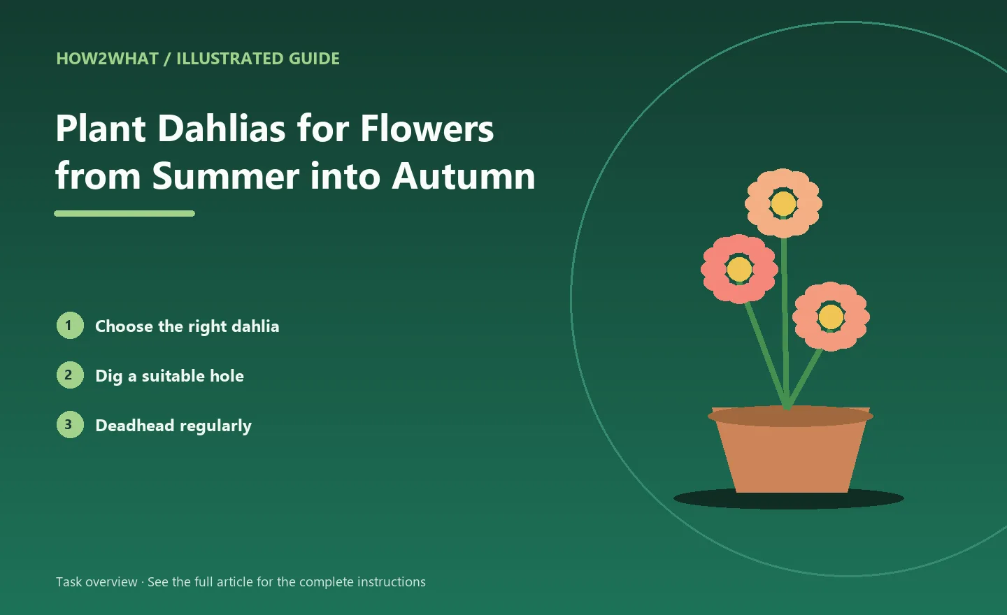 Illustrated task overview for How to Plant Dahlias for Flowers from Summer into Autumn