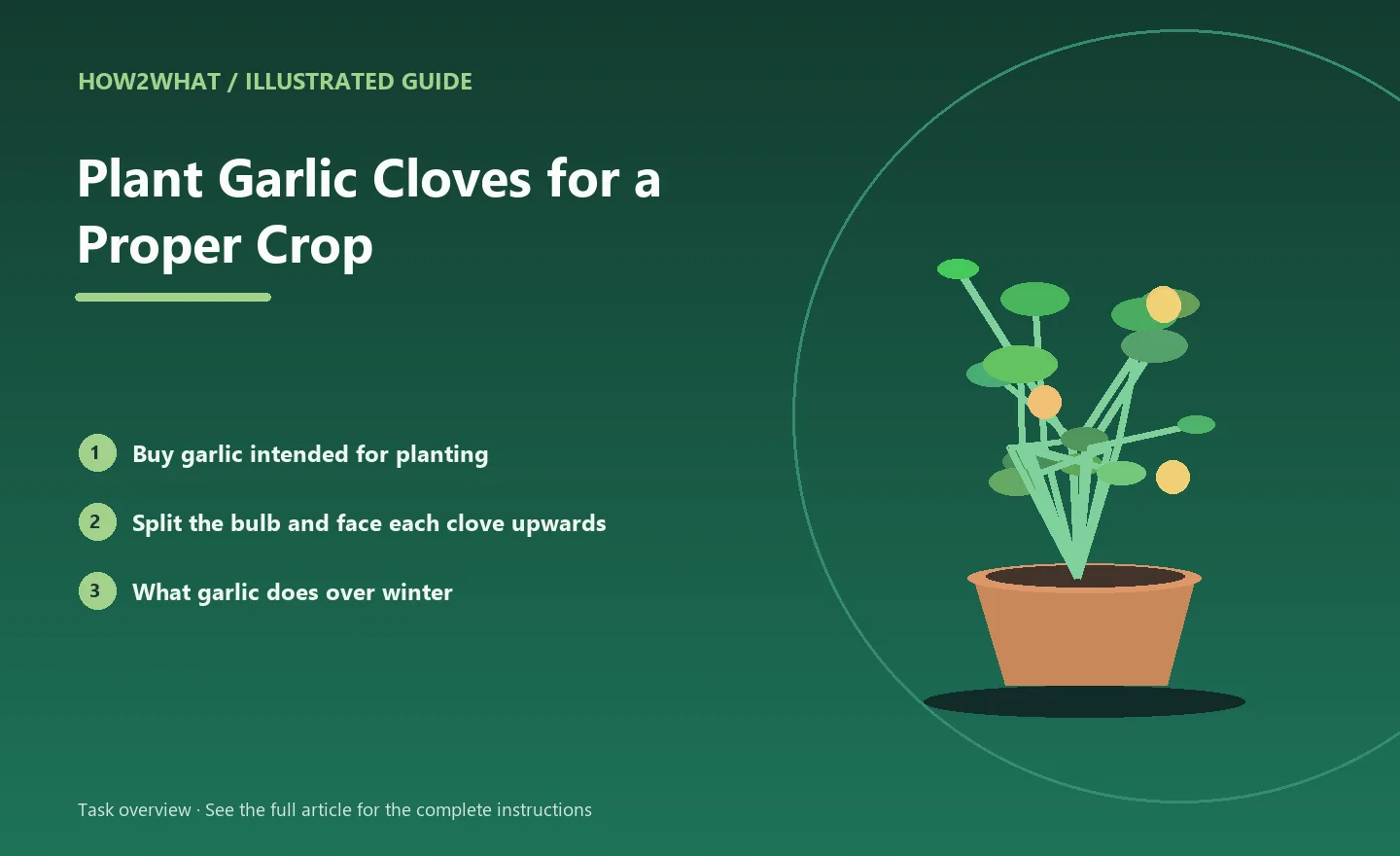 Illustrated task overview for How to Plant Garlic Cloves for a Proper Crop