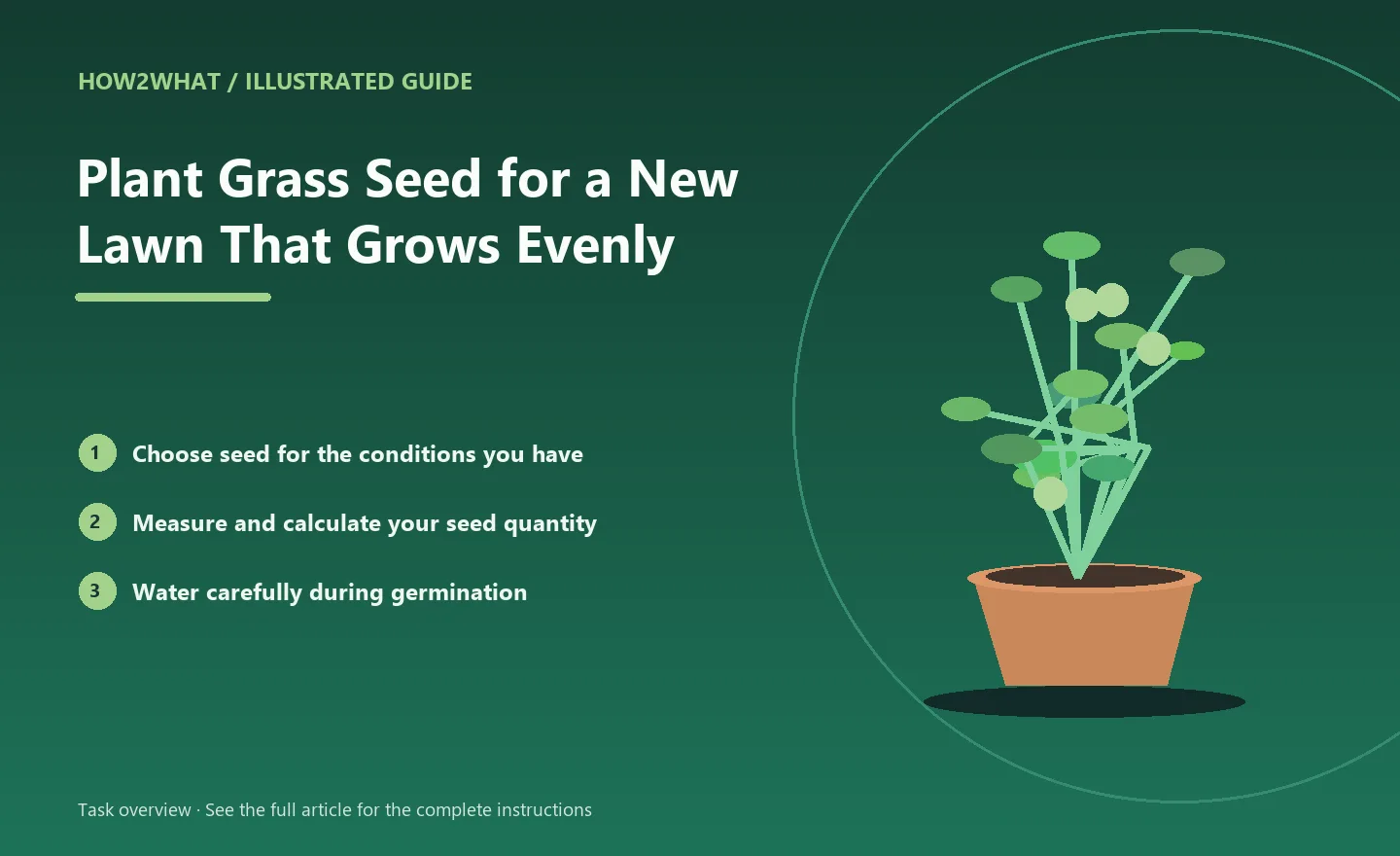 Illustrated task overview for How to Plant Grass Seed for a New Lawn That Grows Evenly