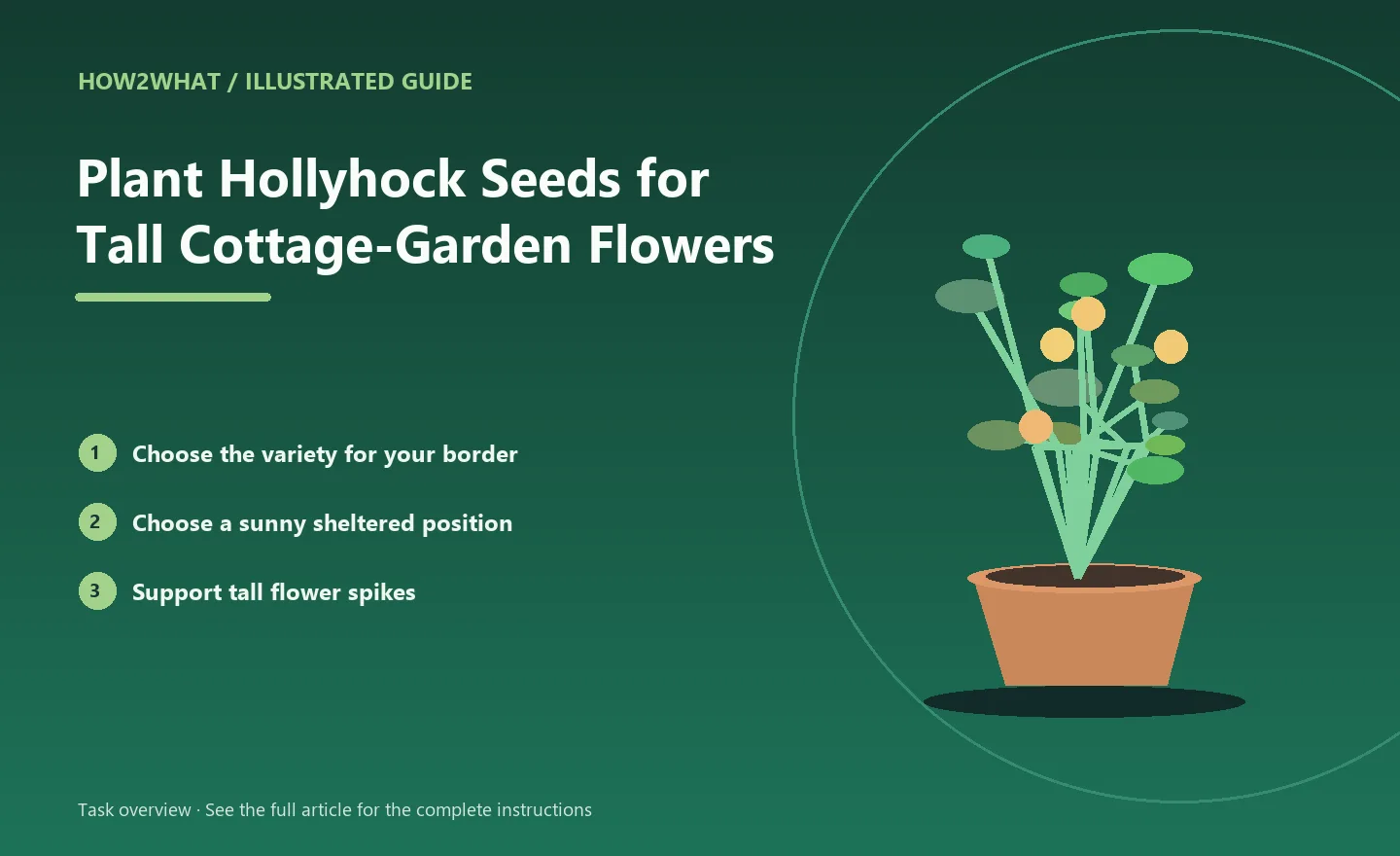 Illustrated task overview for How to Plant Hollyhock Seeds for Tall Cottage-Garden Flowers