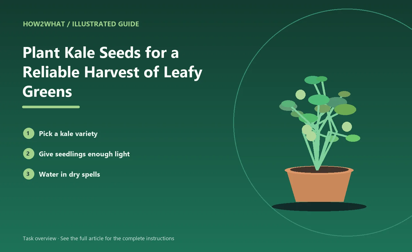 Illustrated task overview for How to Plant Kale Seeds for a Reliable Harvest of Leafy Greens