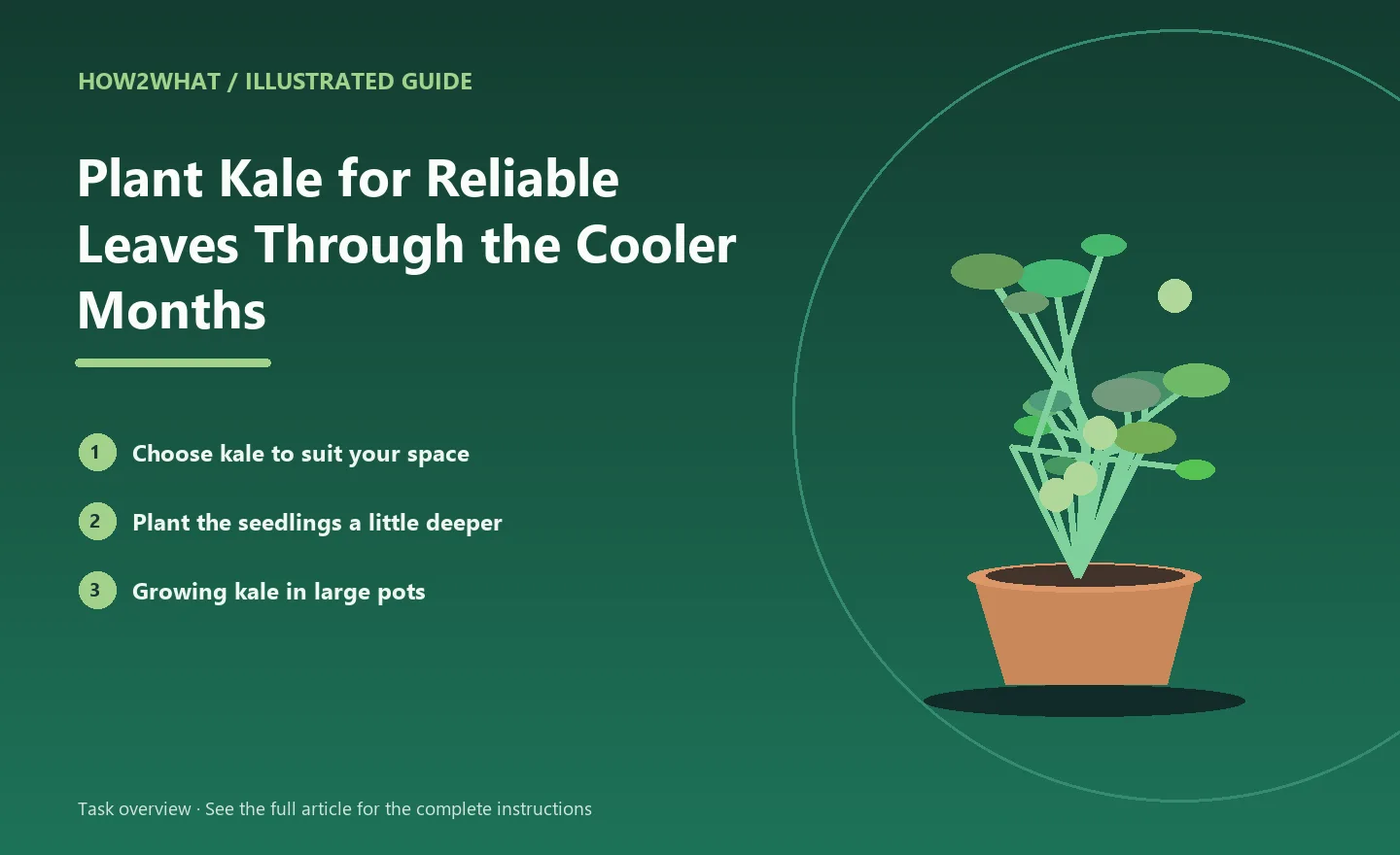 Illustrated task overview for How to Plant Kale for Reliable Leaves Through the Cooler Months