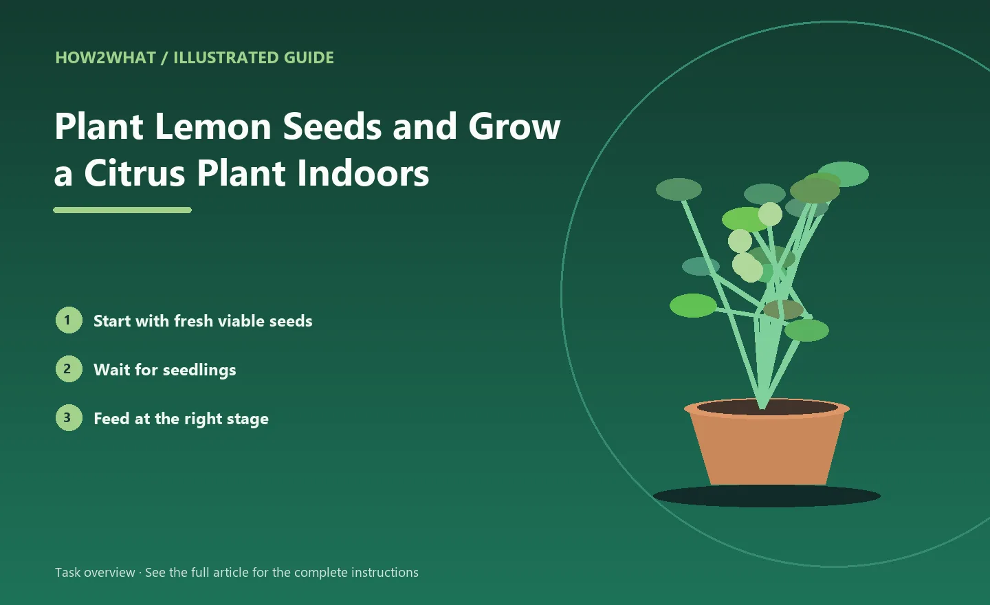 Illustrated task overview for How to Plant Lemon Seeds and Grow a Citrus Plant Indoors