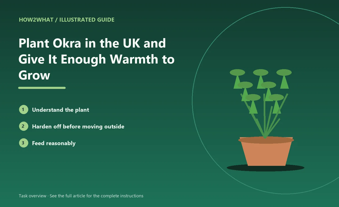 Illustrated task overview for How to Plant Okra in the UK and Give It Enough Warmth to Grow