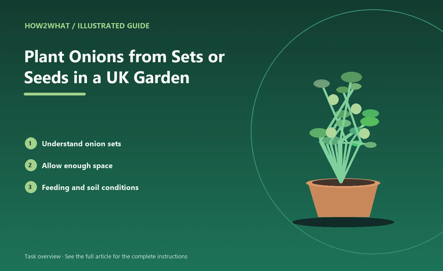 Illustrated task overview for How to Plant Onions from Sets or Seeds in a UK Garden