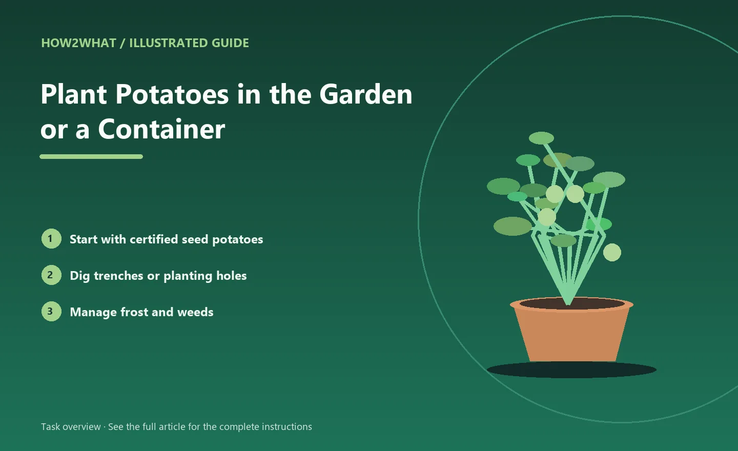 Illustrated task overview for How to Plant Potatoes in the Garden or a Container