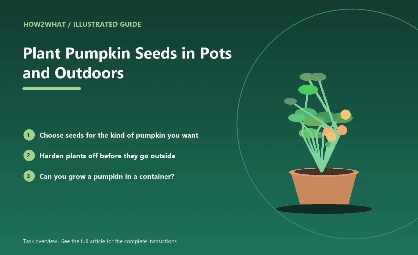 Illustrated task overview for How to Plant Pumpkin Seeds in Pots and Outdoors